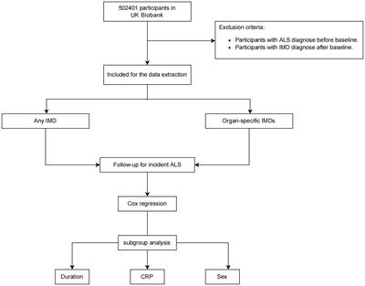 Immune-mediated diseases are associated with a higher risk of ALS incidence: a prospective cohort study from the UK Biobank